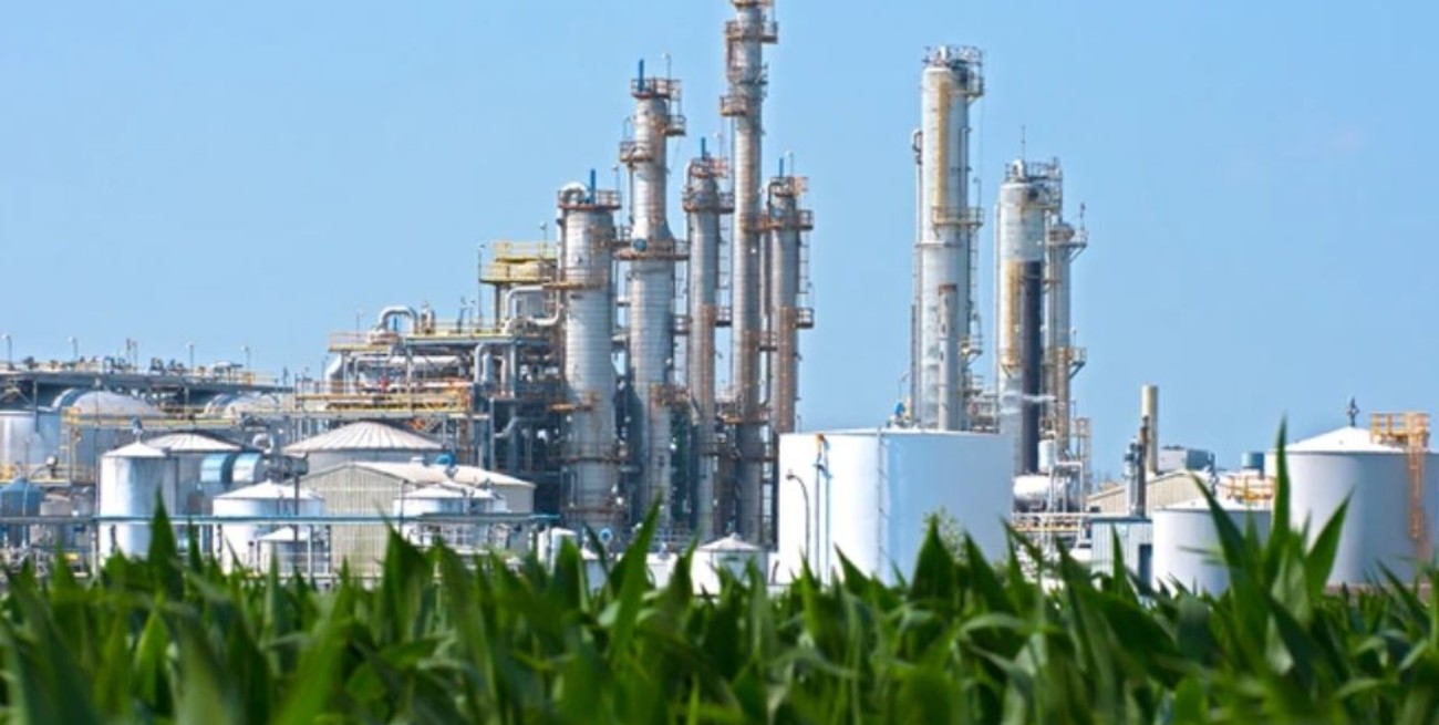 Prórroga por 60 días para la Ley de Biocombustibles