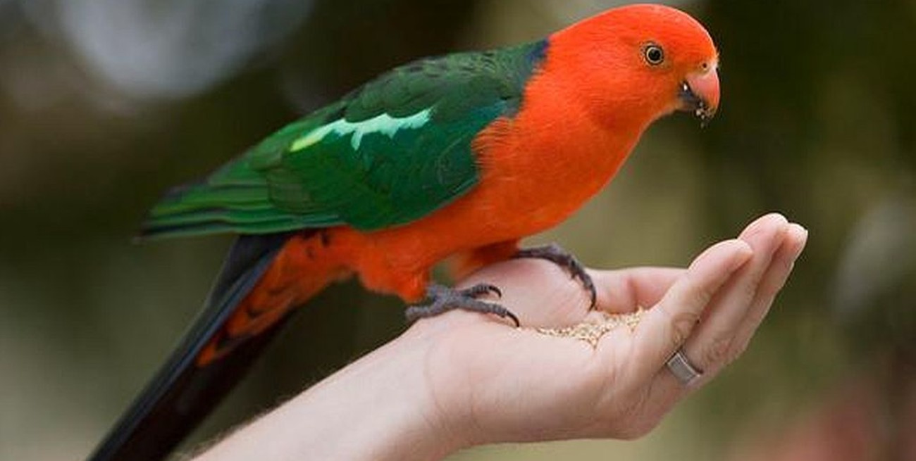 El aumento de la temperatura global está provocando mutaciones en los animales