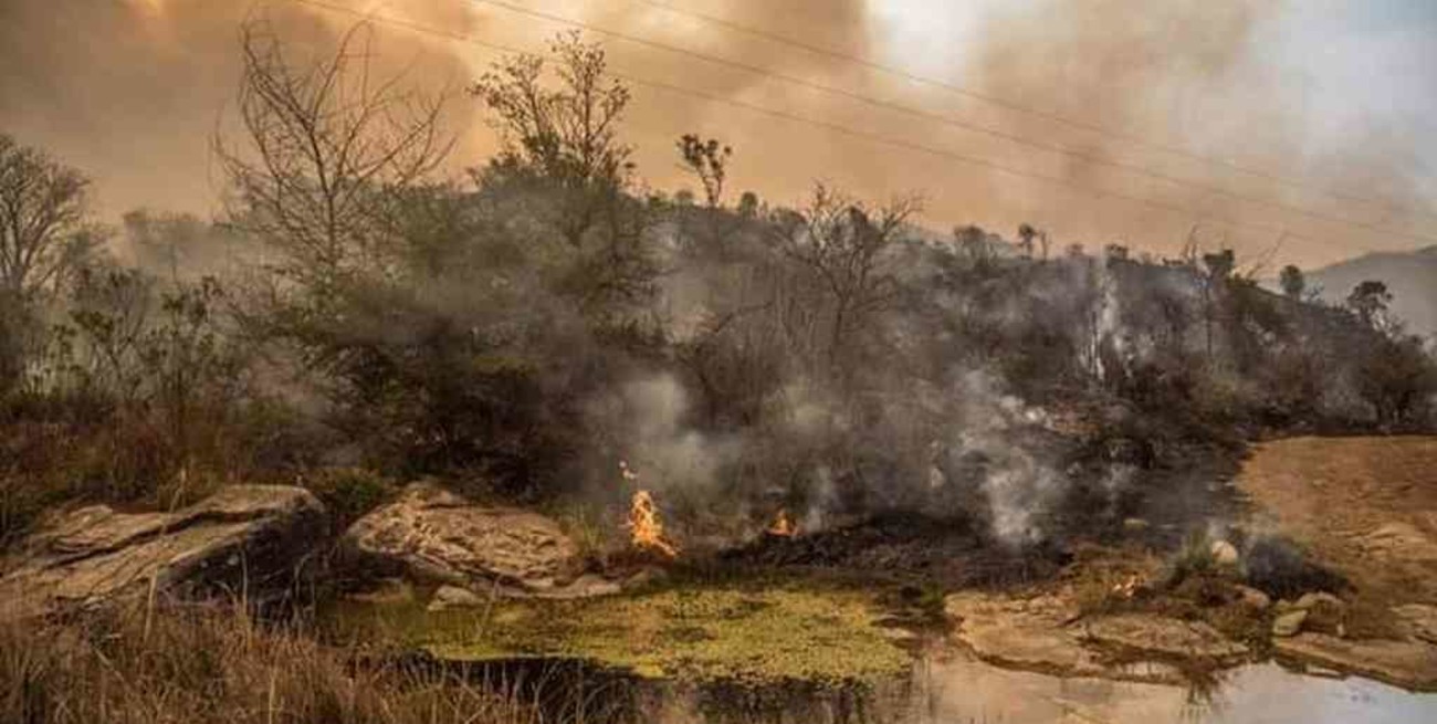 Córdoba: más de 190 mil hectáreas quemadas por los incendios forestales