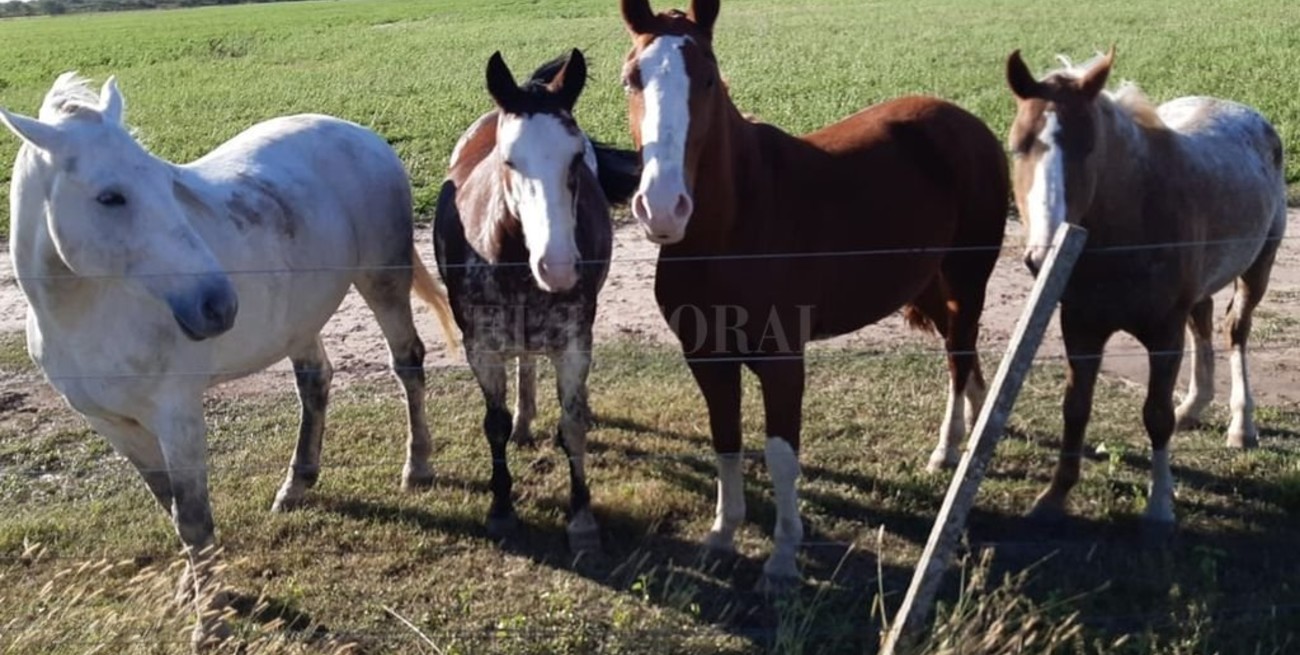El "triángulo de las Bermudas" y un histórico reclamo por seguridad