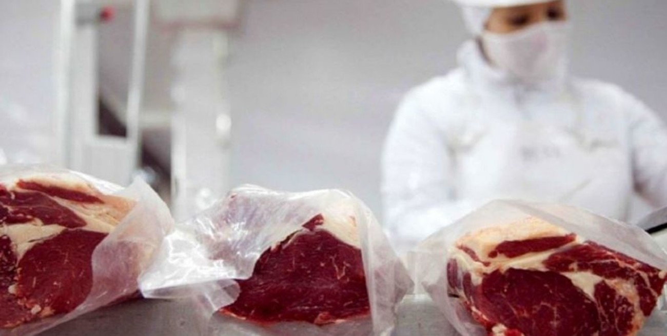 Exportaciones de carne vacuna cayeron 45 por ciento en junio