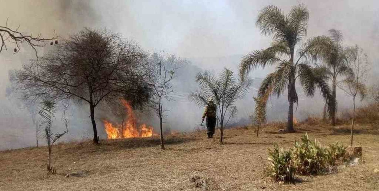 Informe oficial: cinco provincias continúan afectadas por incendios forestales