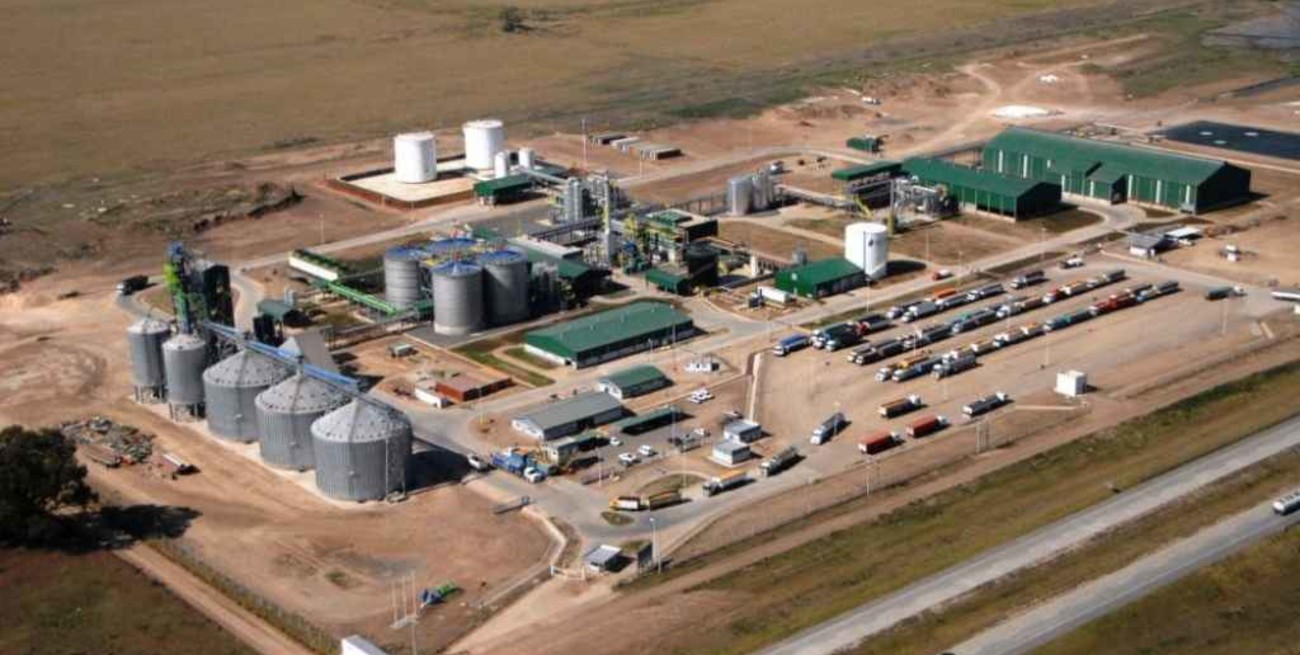 Una empresa cordobesa invertirá US$ 50 millones para potenciar producción de etanol