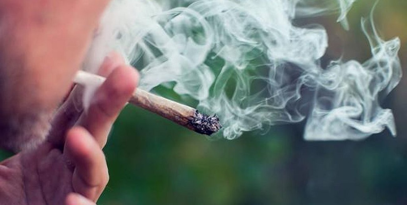 Los consumidores de cannabis tienen casi el doble de probabilidades de sufrir un ataque cardíaco