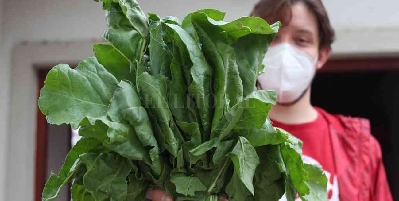 Venado Tuerto: mercados de proximidad con alimentos baratos y saludables