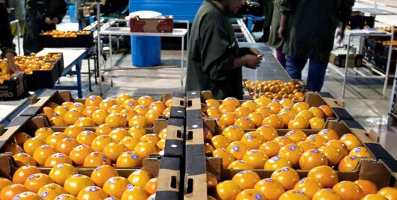 La Unión Europea levanta las restricciones a los cítricos argentinos  