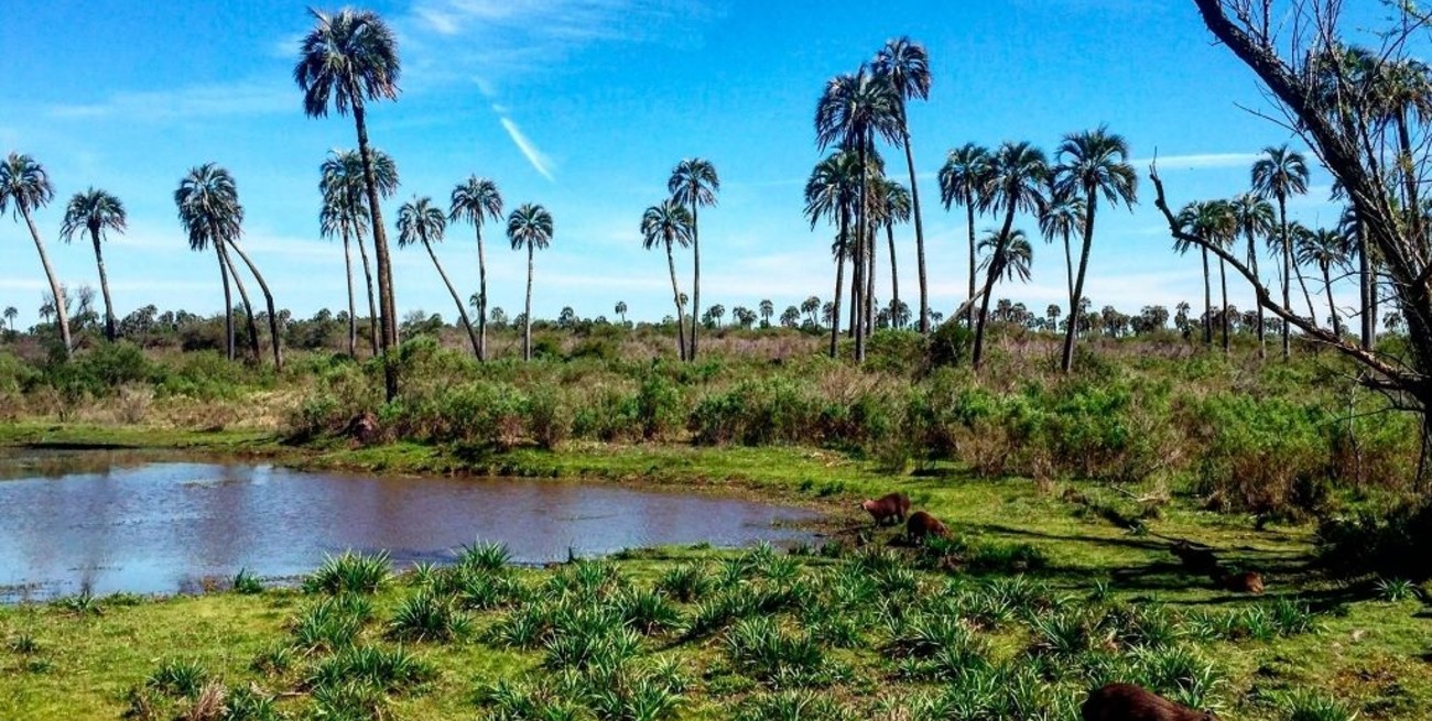 Proponen en Colón circuitos de bici turismo por la ciudad y alrededores