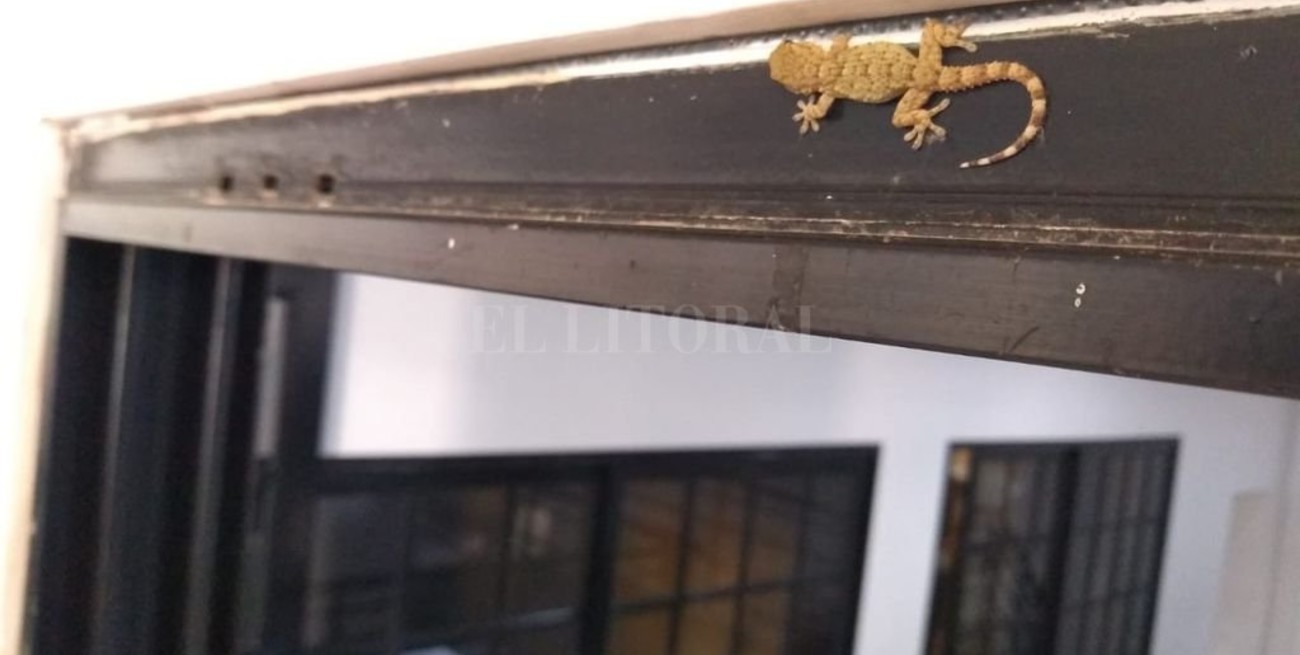 Línea directa y llegan cartas