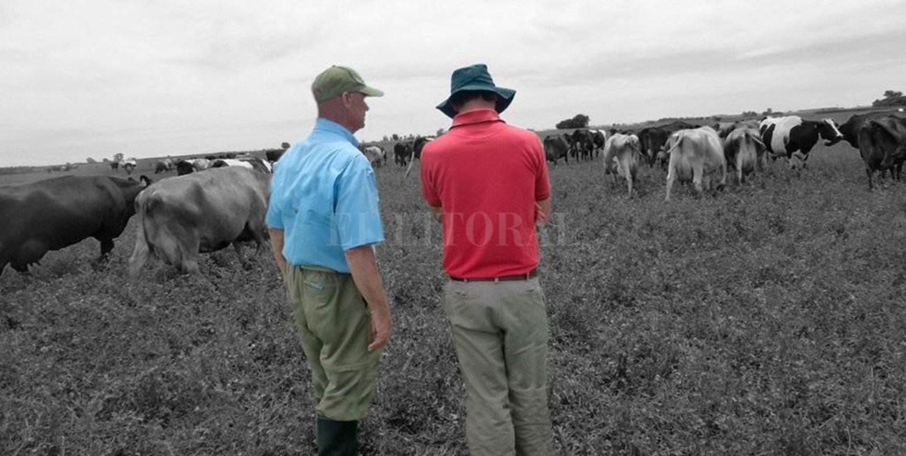 En 16 años Santa Fe perdió más establecimientos agropecuarios que la media nacional