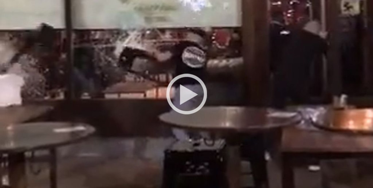 Video: pelea, patadas y sillazos en un bar de La Plata
