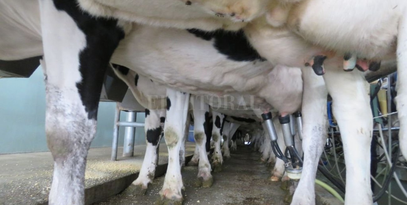 Presentarán el Programa de Financiamiento para el sector productivo santafesino