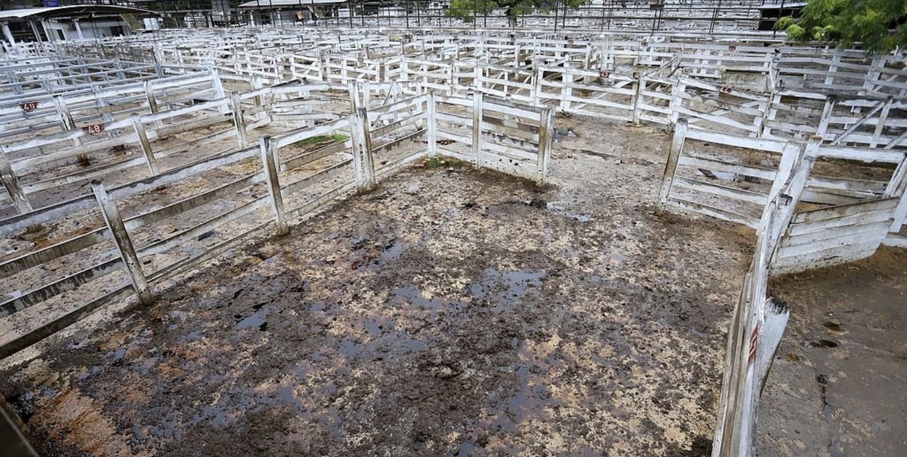 La Mesa de Enlace lanzará una medida de fuerza por la prórroga del cepo a las exportaciones de carne