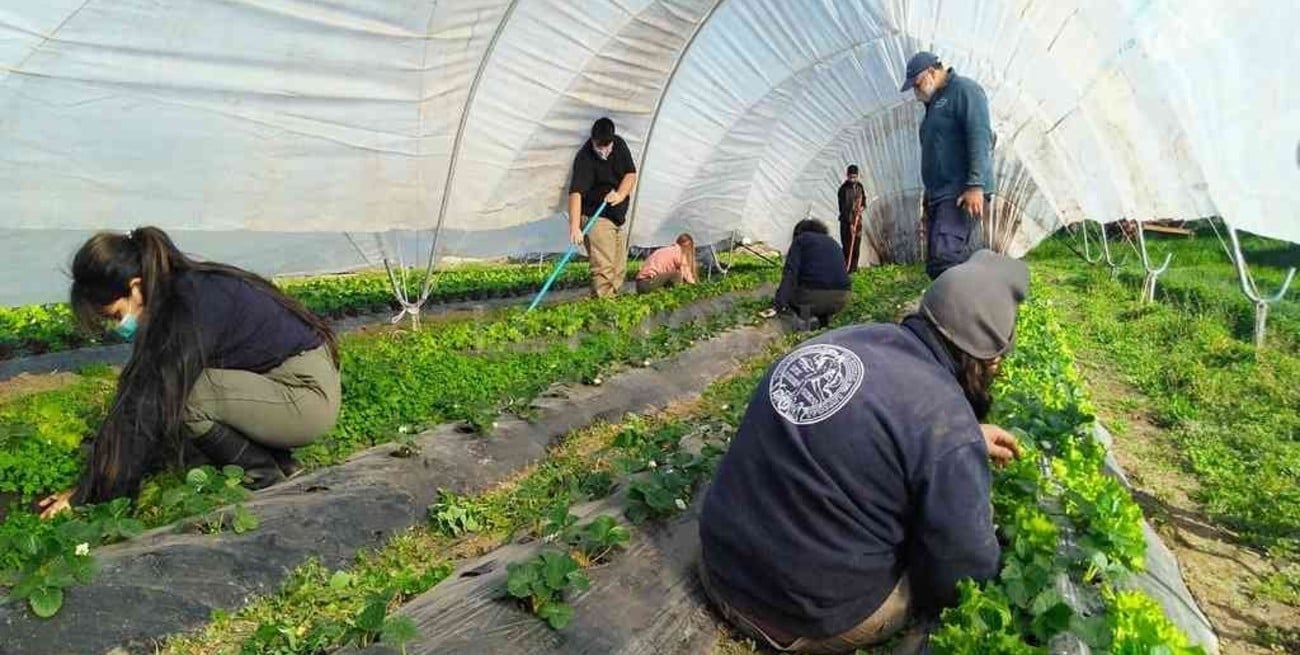 Esperanza: la Escuela Granja abre la preinscripción para el ingreso 2022