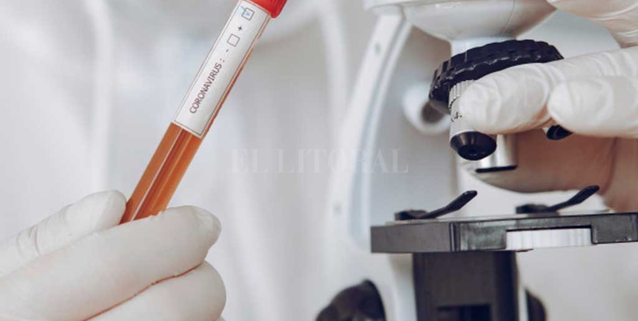 Putin anuncia que Rusia logró la primera vacuna contra el Covid-19