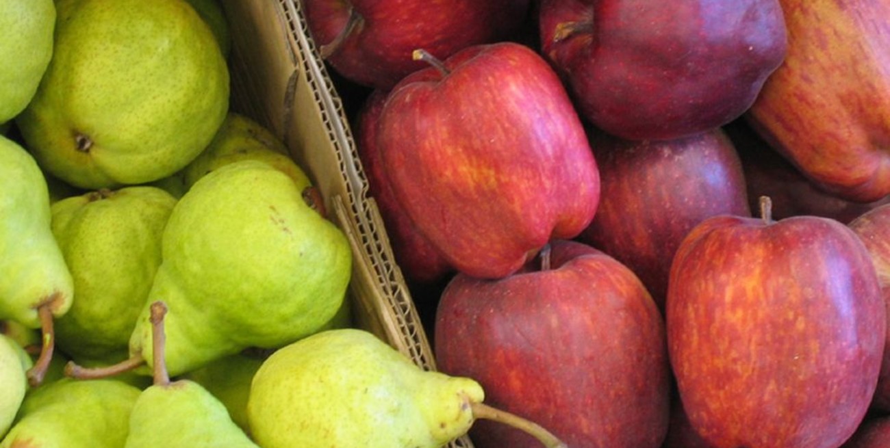 Aduana estableció valores de referencia para la exportación de peras y manzanas