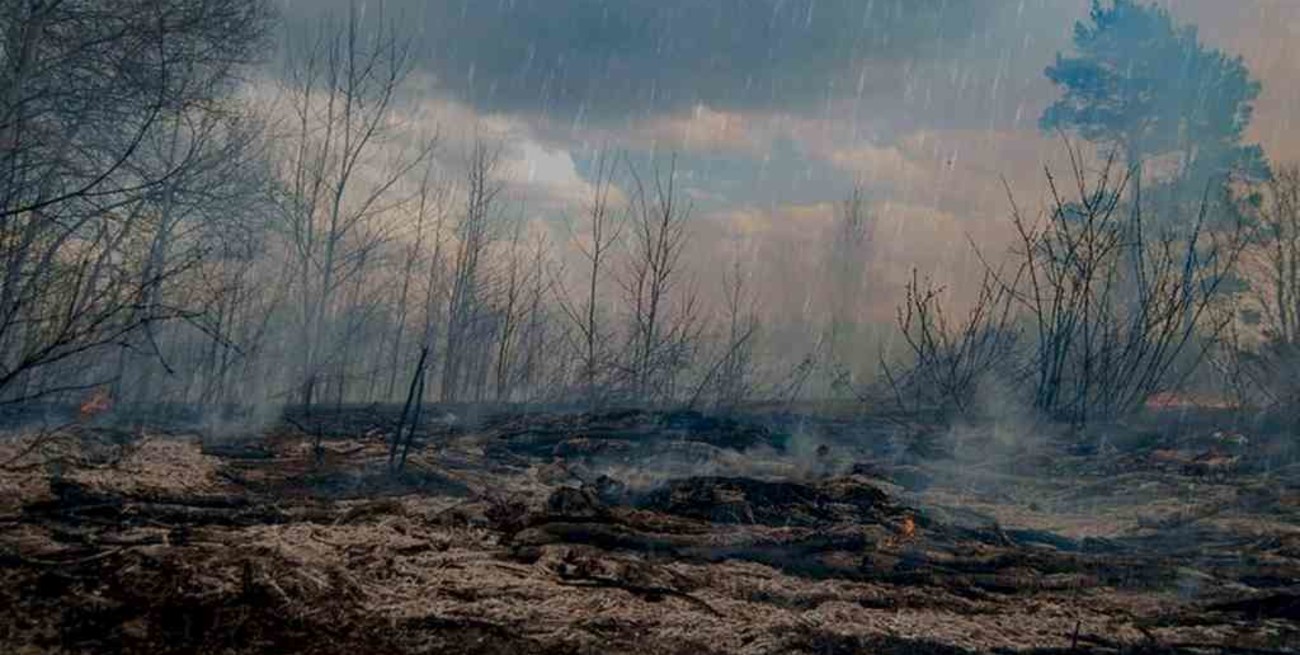 La lluvia extinguió todos los focos de incendios en Córdoba 