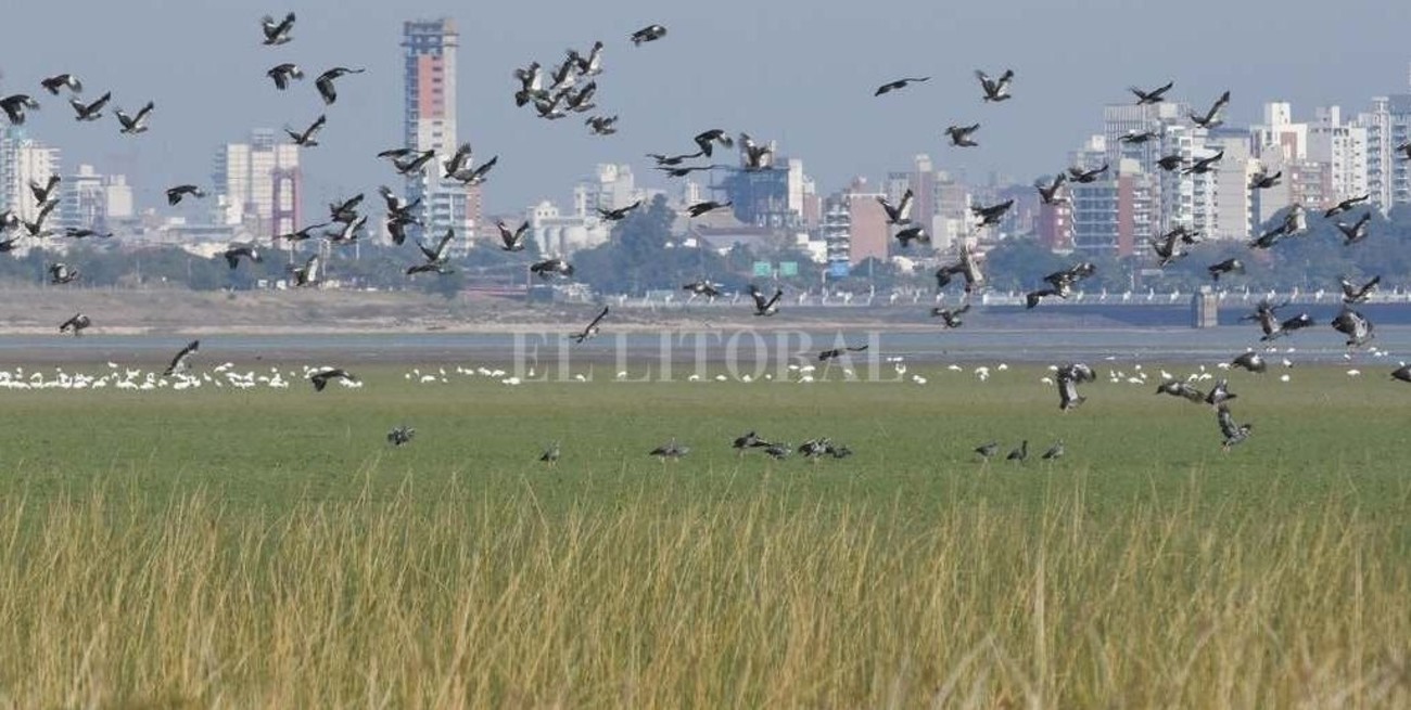 Pandemia: "Hace 30 años que los biólogos venimos advirtiendo que esto iba a suceder"