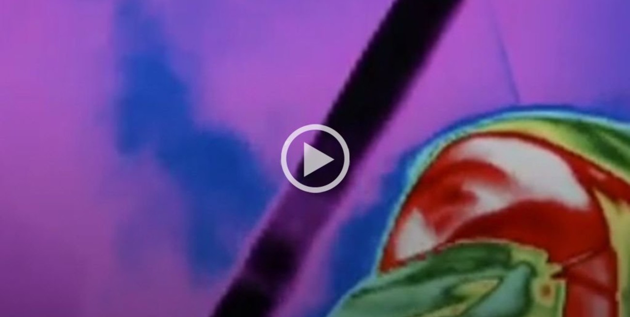 Video: mirá cómo se expande el coronavirus por el aire al hablar