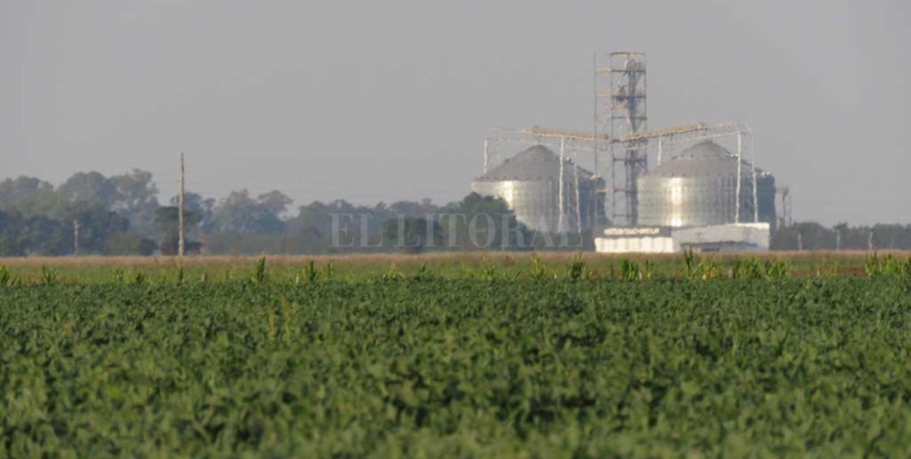 El precio de la soja superó los 600 dólares, el valor más alto desde 2012