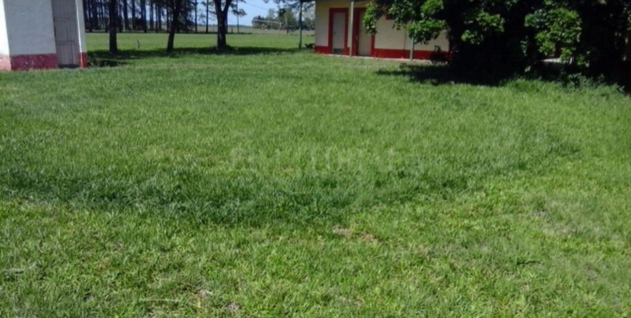 Fenómeno inexplicable: vuelven a aparecer círculos dibujados en el suelo