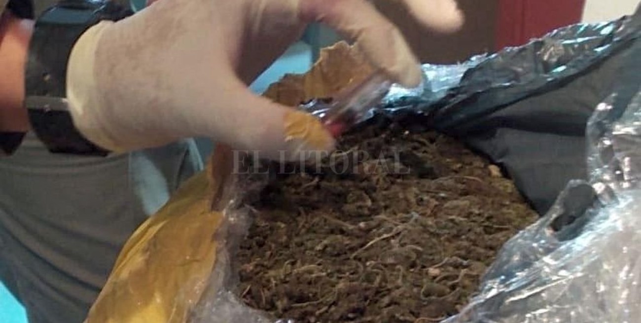 Detienen al hijo del fallecido represor Luciano Benjamín Menéndez por comercio de drogas