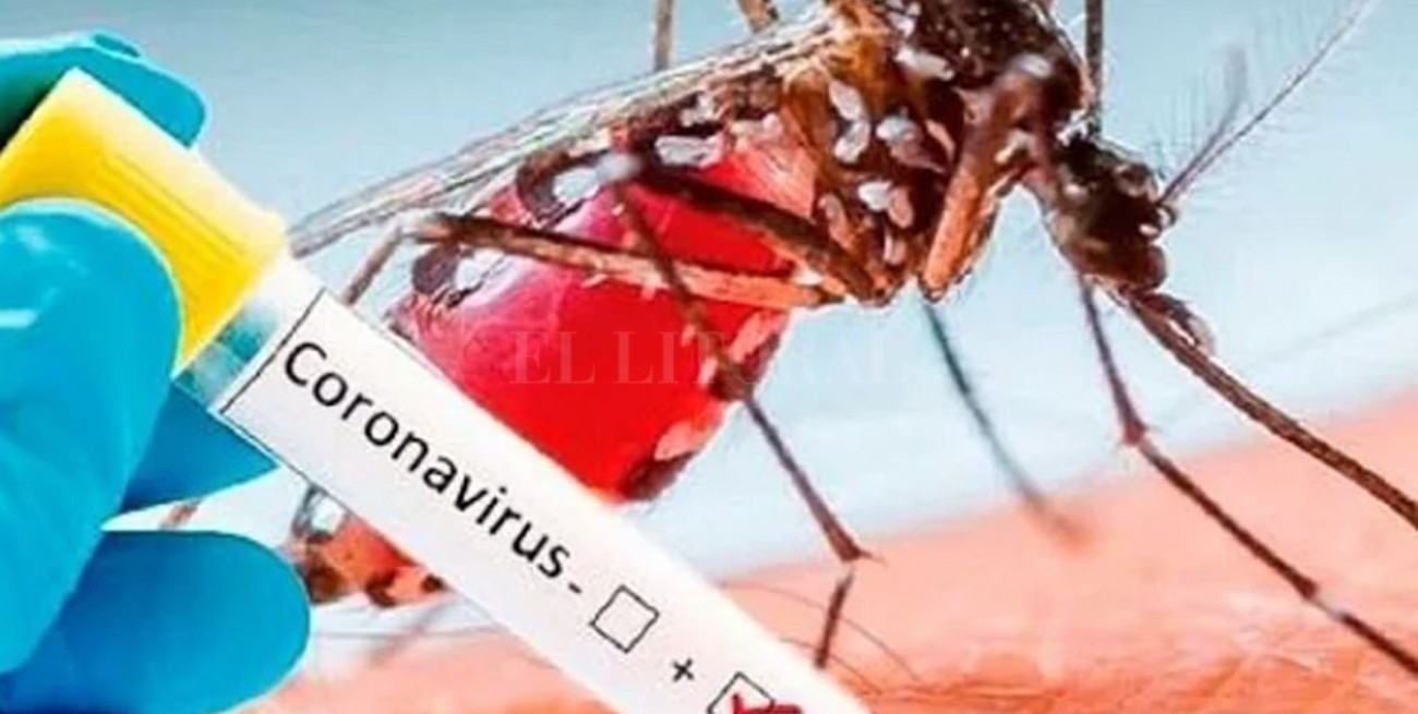 Hay al menos 13 casos de "coronadengue" en un hospital de Buenos Aires