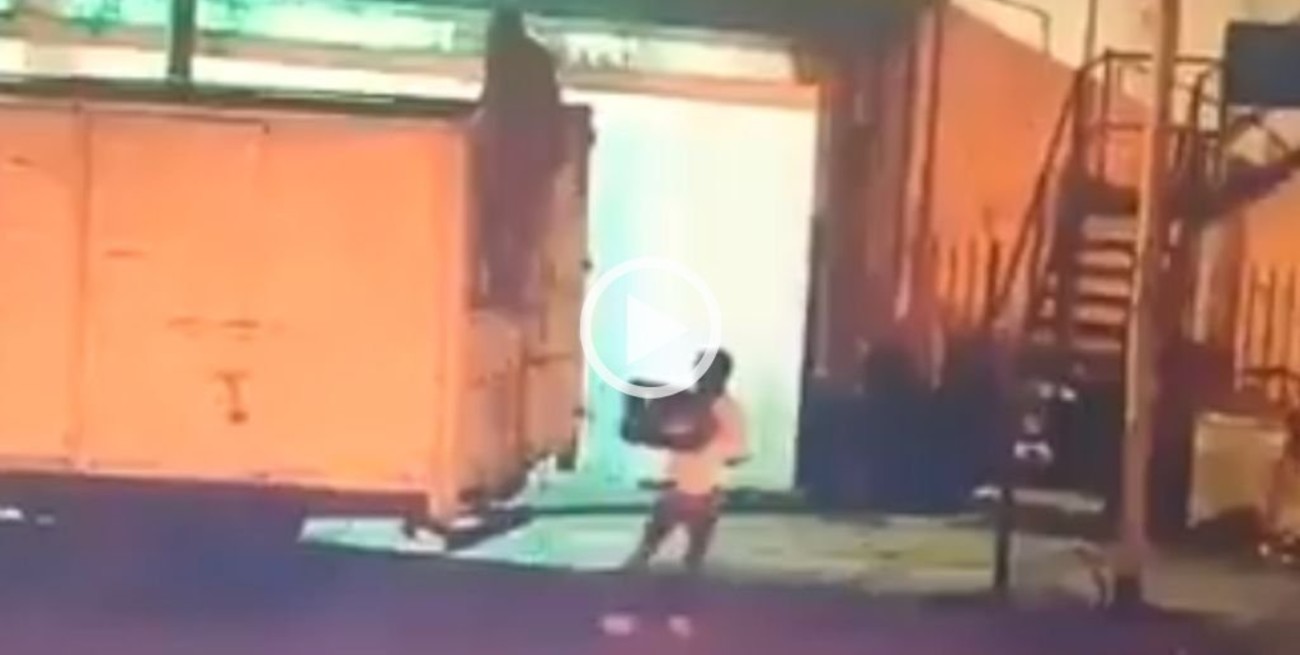 Video: los atraparon tras robar cajones de cerveza y esconderlos en un contenedor de basura