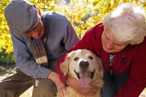 Imagen ilustrativa El aislamiento provocado por la pandemia ha llevado a que las personas se apeguen aún más a los animales.