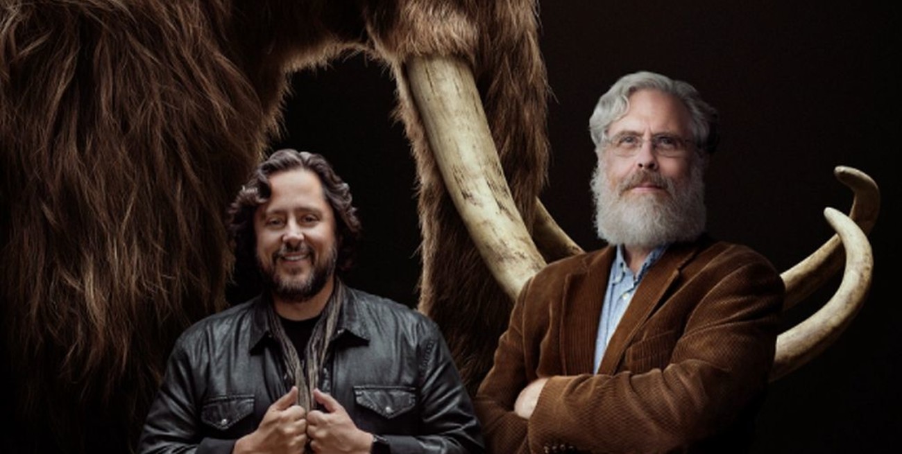 Avanzan las gestiones para revivir al mamut lanudo, extinto hace cuatro mil años 