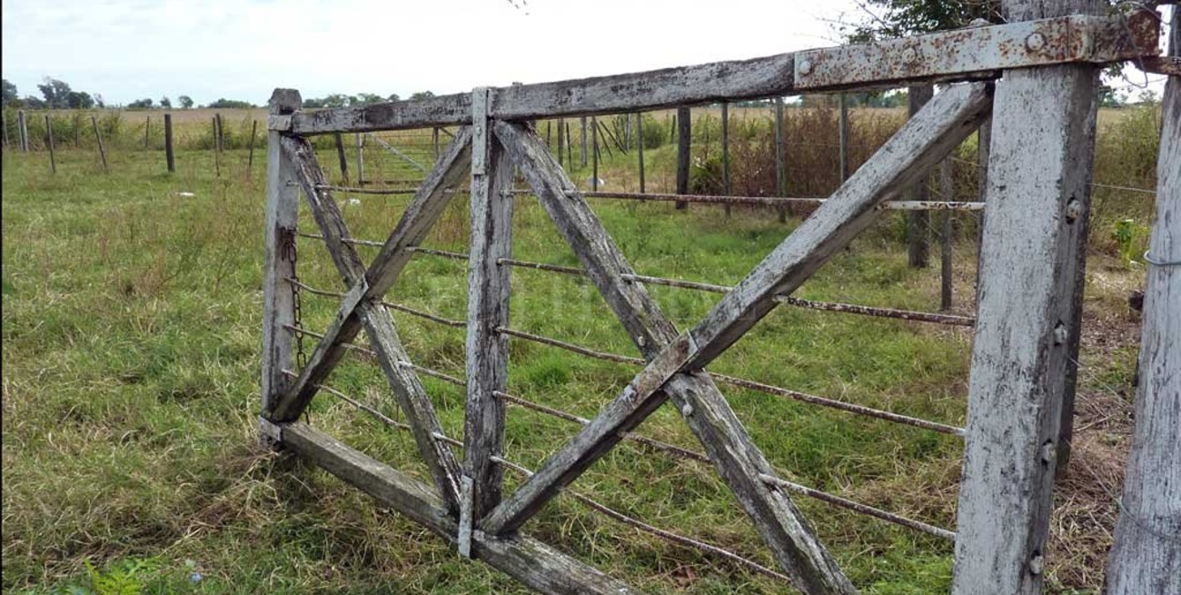 El campo sobre la baja de retenciones: "Medidas aisladas que se asemejan a un parche" 