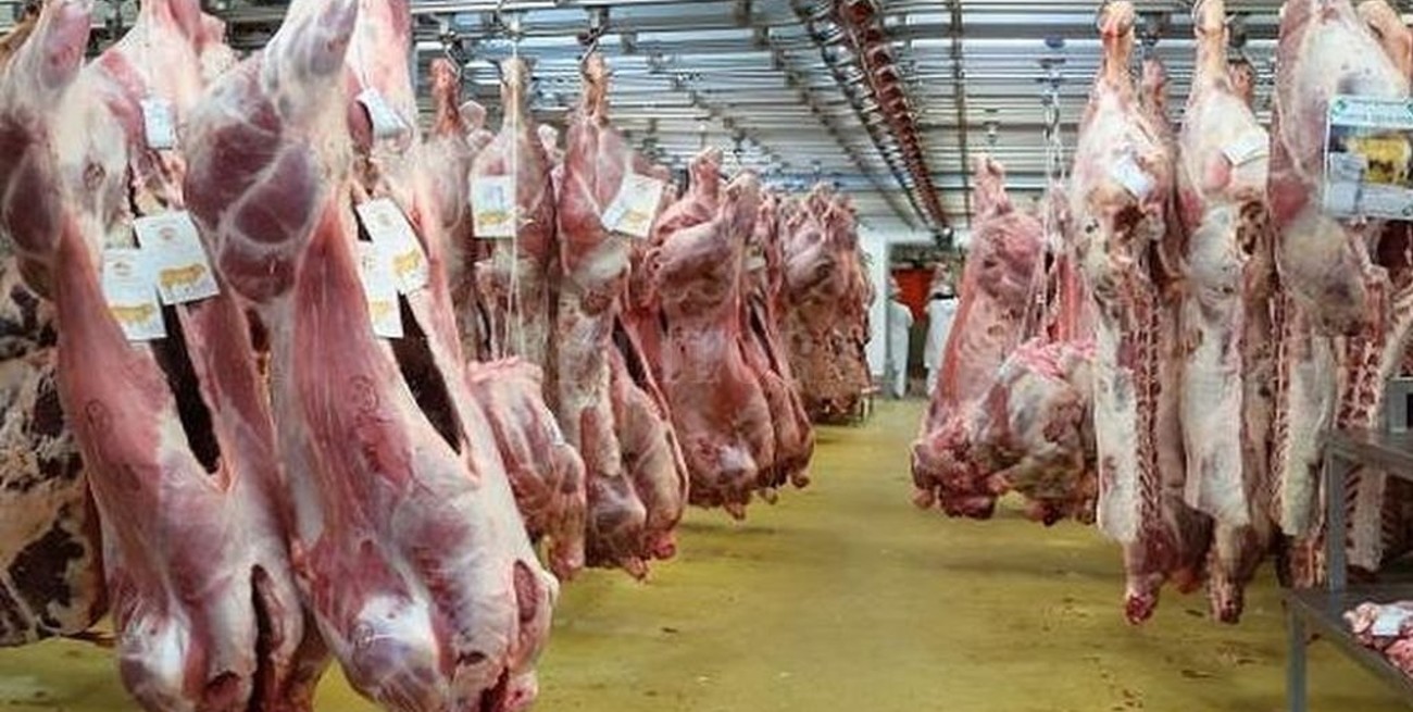 Récord de exportaciones de carne a China