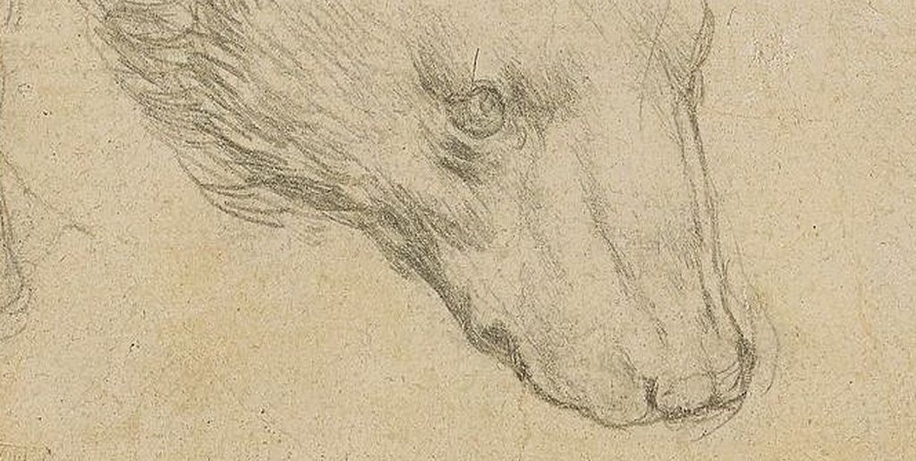 "Cabeza de oso" de Leonardo da Vinci logra un precio récord en una subasta