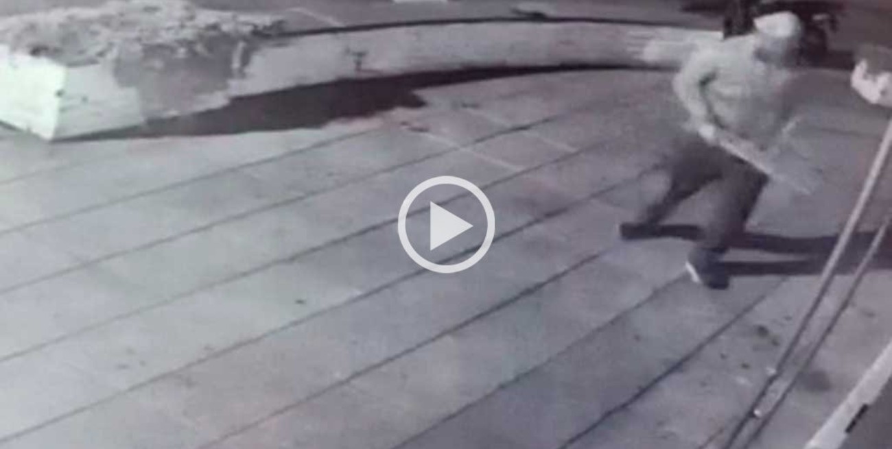 Robo y daños en la heladería Portobelo de barrio Roma