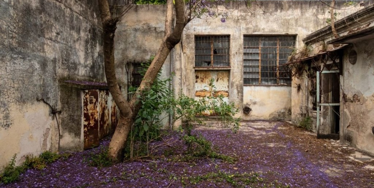 La casa de la infancia de María Elena Walsh se incorpora al patrimonio del Estado