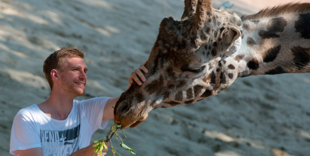 Zoológico alemán ofrece el padrinazgo de diferentes animales