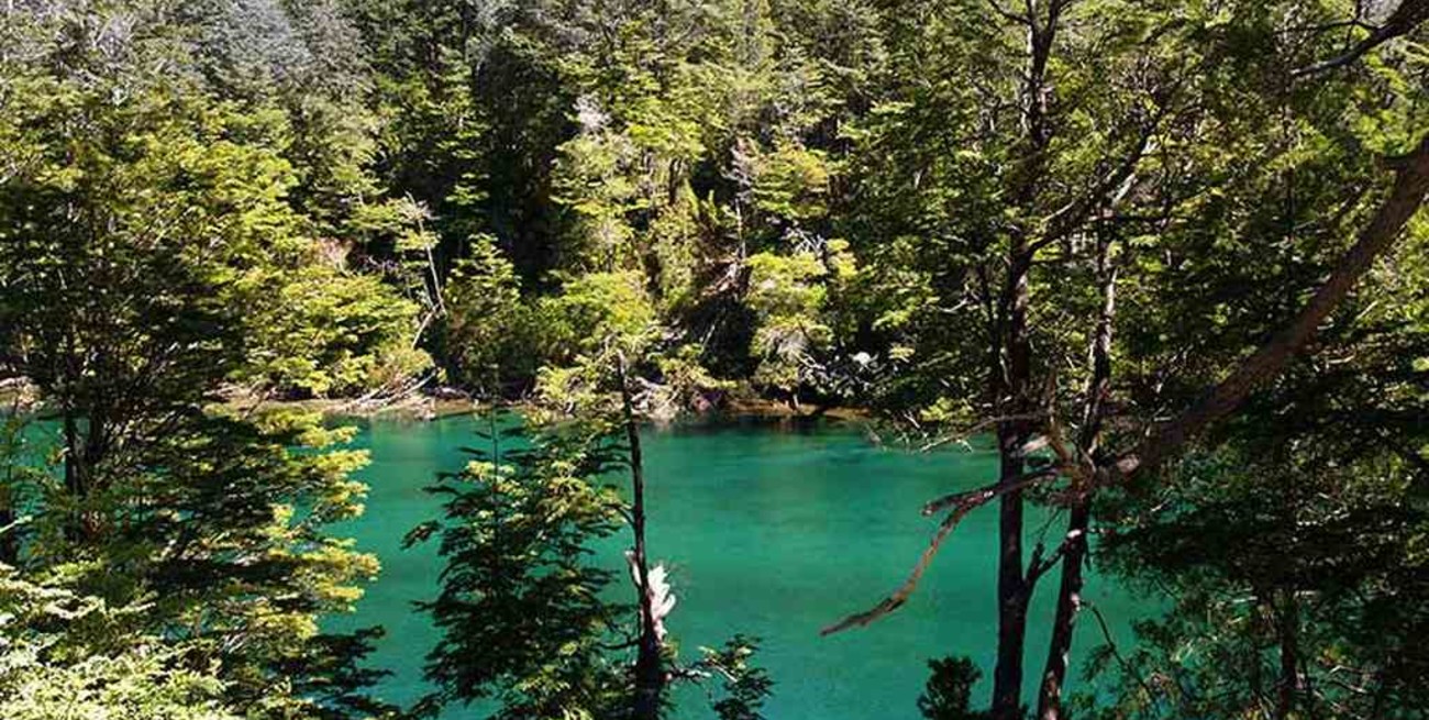 Una guardaparques santafesina fue atacada por un grupo autodenominado "mapuche"