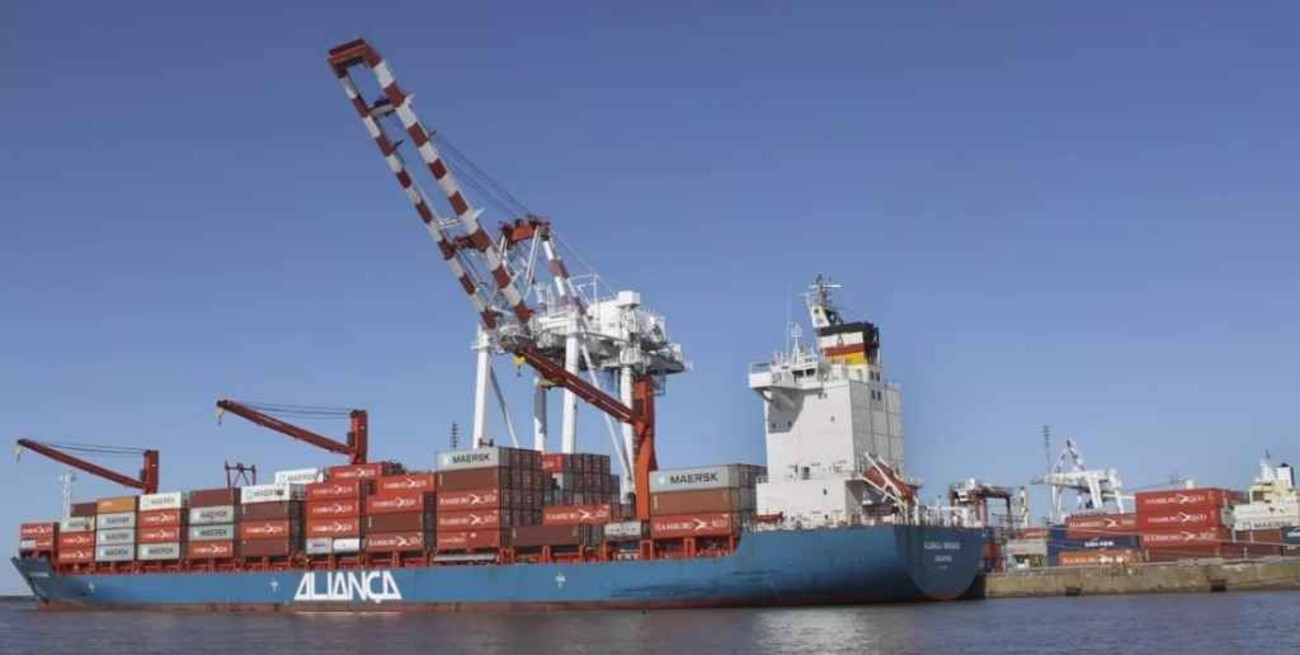 Competitividad de Argentina frente a Brasil "se desplomó" por la apreciación del peso   