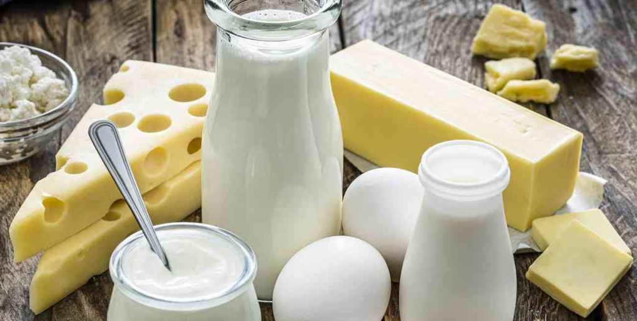Encuentran una alternativa para crear productos lácteos sin leche animal