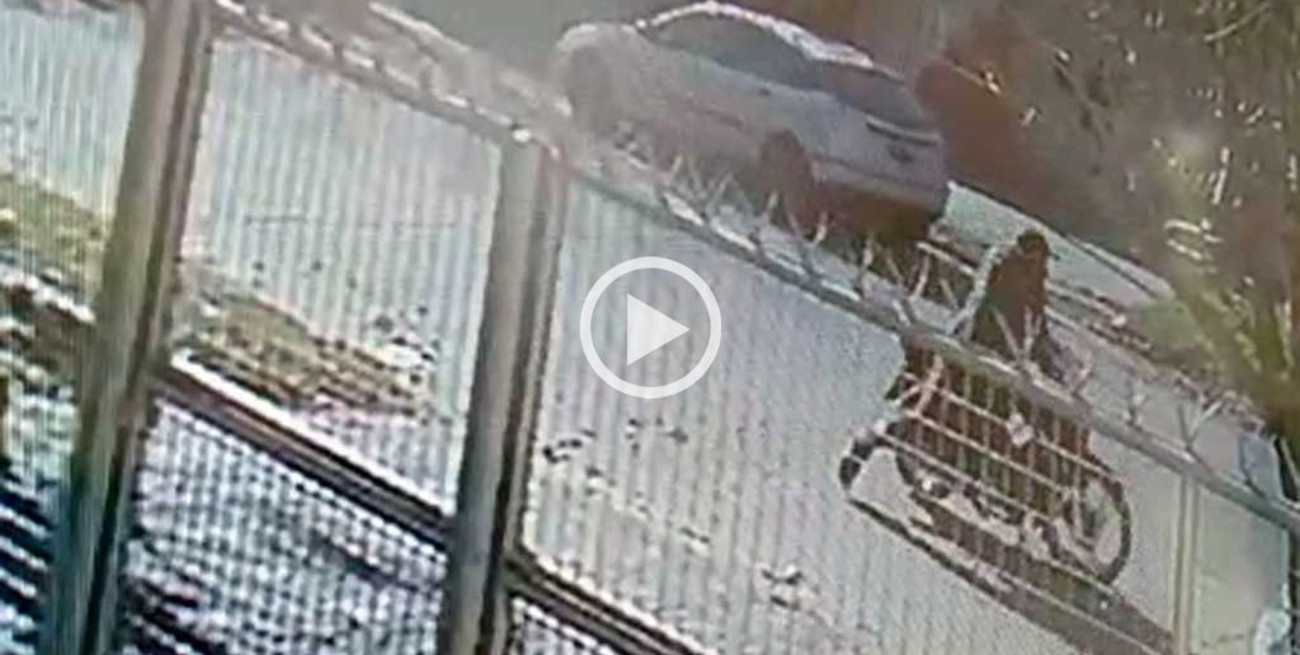 Video: motochorros al acecho en barrio Mayoraz