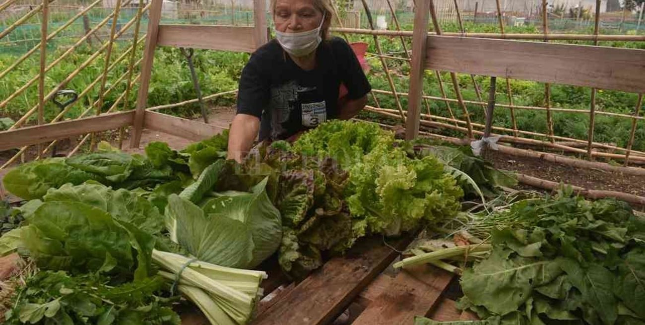 Rosario: suman trabajo conjunto para fortalecer la agricultura urbana