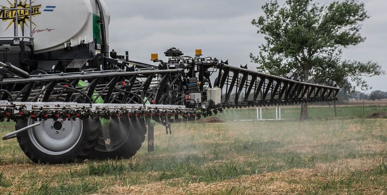 Realizarán un "abejazo" contra el uso intensivo de agroquímicos