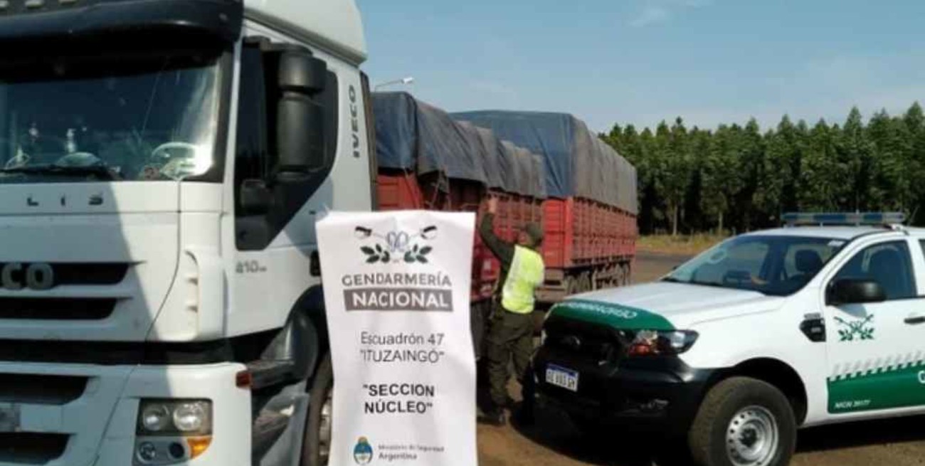 Corrientes: transportaban ilegalmente 196 toneladas de soja en 7 camiones