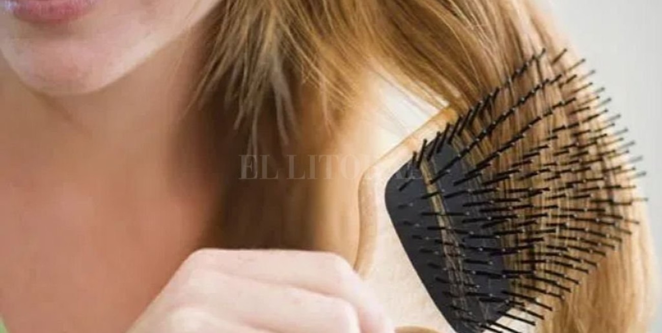 Se pueden detectar deficiencias nutricionales analizando cabello