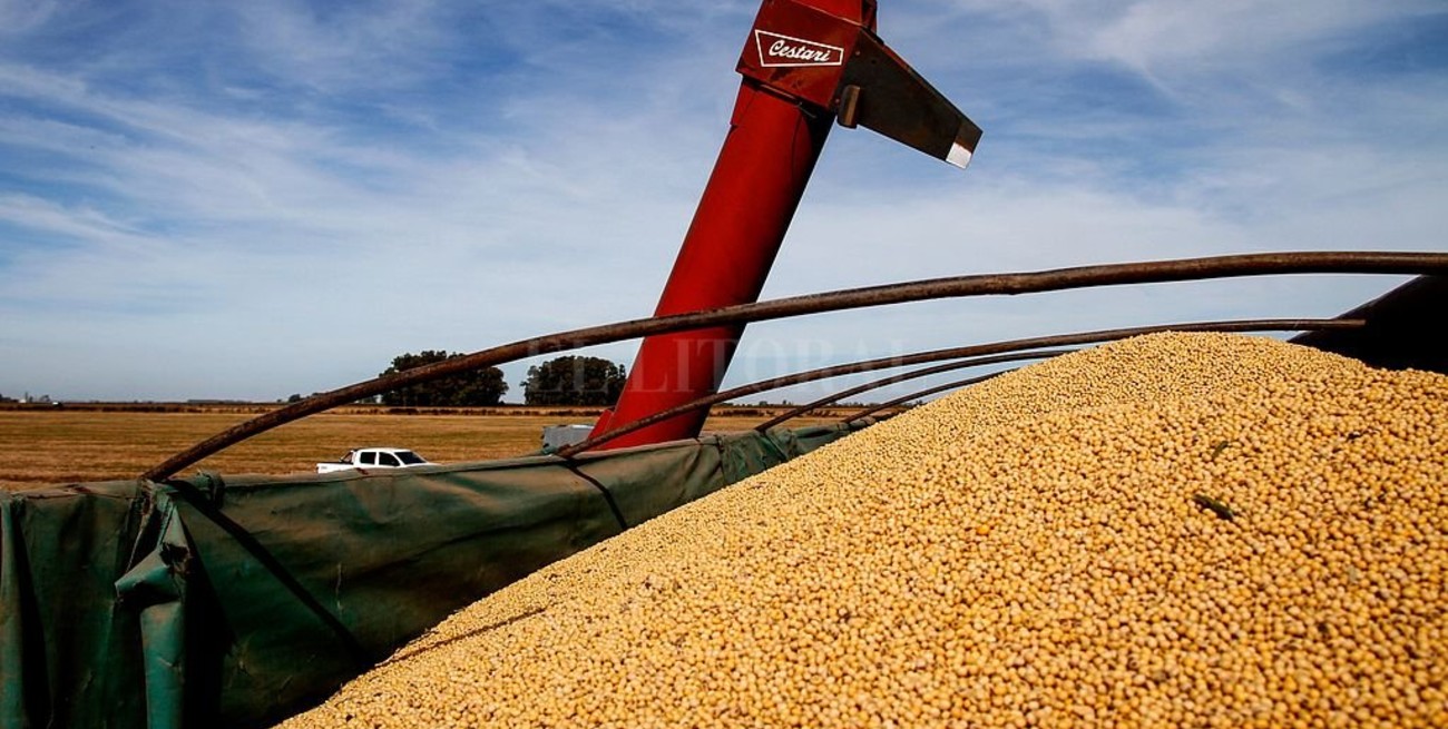 El precio de la soja se mantuvo en Rosario