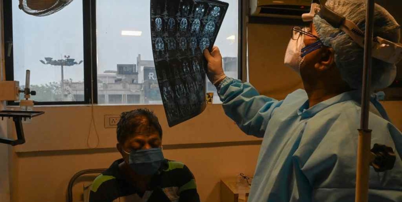 Hallaron en India lo que podría ser el primer caso de "hongo verde" en un paciente de coronavirus 