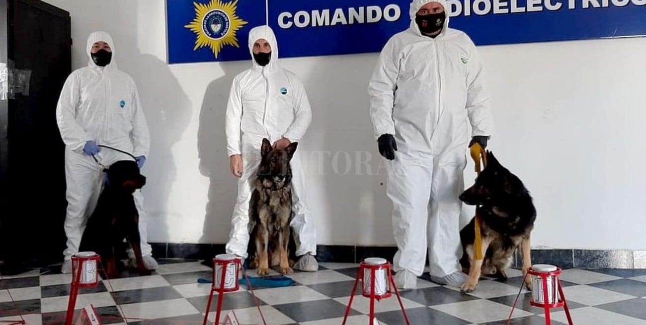 La novedosa pericia que complicó al acusado de matar a Julieta Del Pino