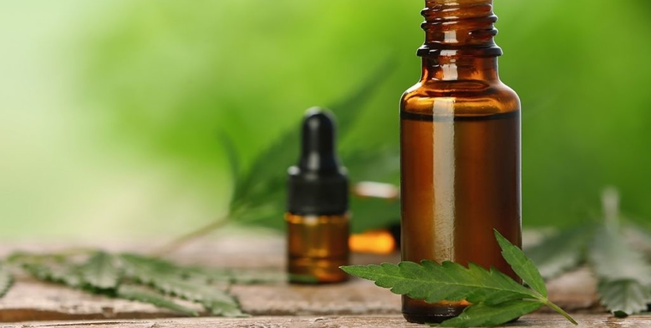 Corrientes aprobó la creación de un instituto de producción de cannabis medicinal