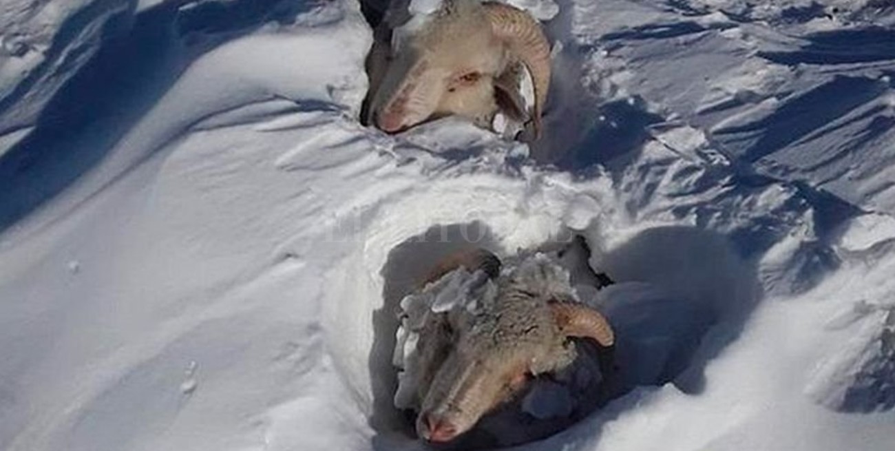 La Patagonia atraviesa un intenso temporal de viento y nieve