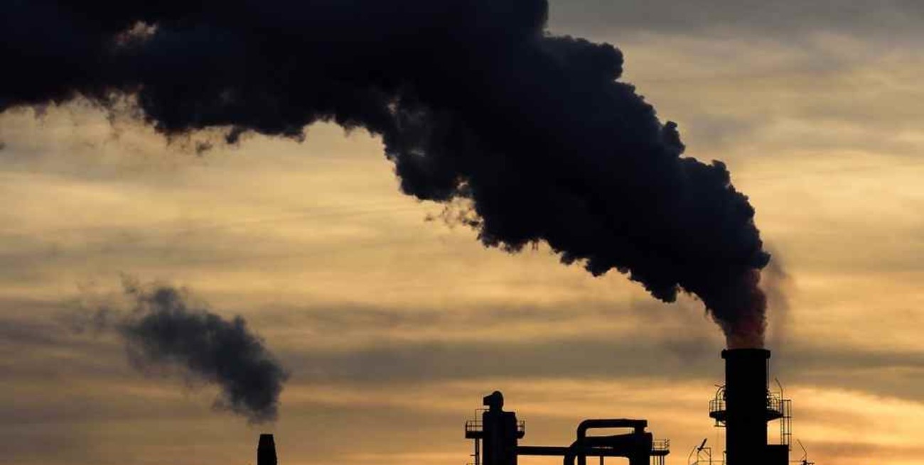 Proponen que Argentina sea carbono neutral para el 2050  