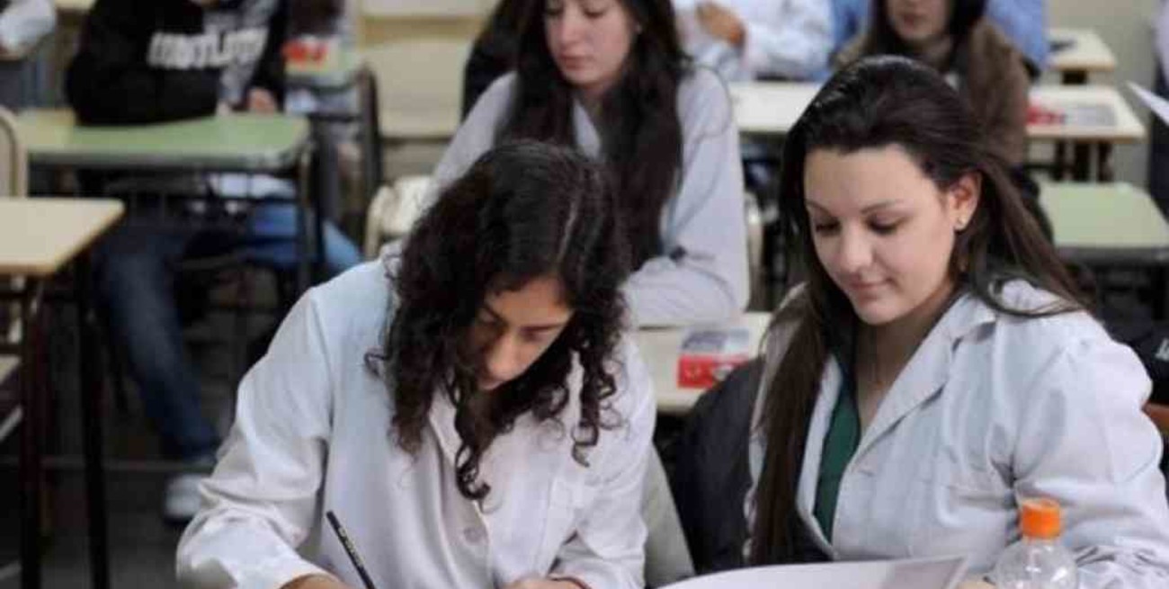 Resolución 223: "No se puede resignar la calidad educativa de esta manera"